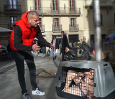 S01E03 Las aventuras de Potro y Pony